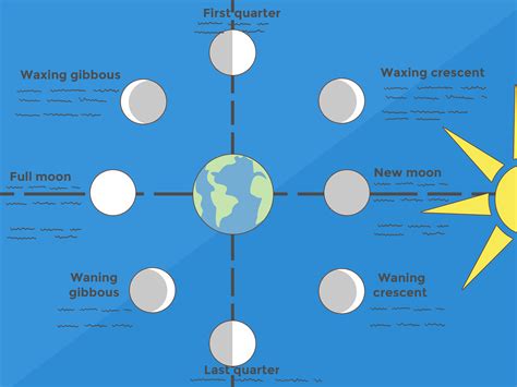 Diagram Phases Of The Moon Relative To Earth And Sun - The Earth Images Revimage.Org