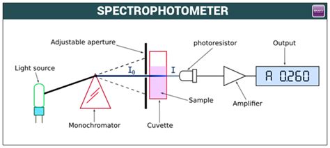 Double Beam Uv Vis Spectrophotometer Principle - The Best Picture Of Beam