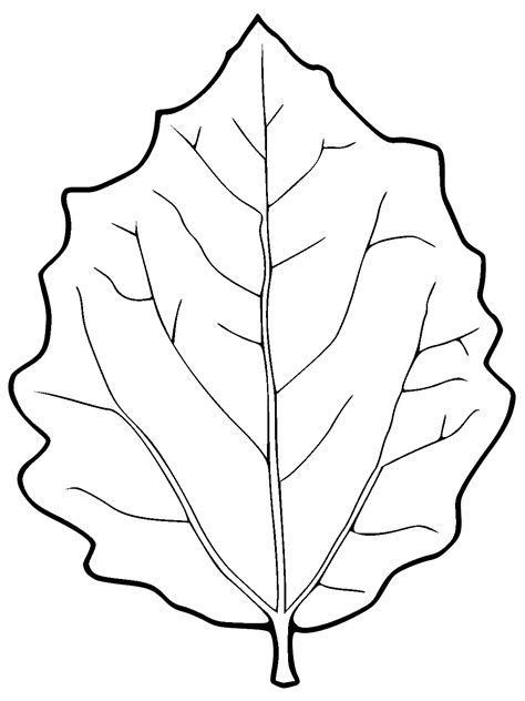 Aspen Leaf Coloring Pages