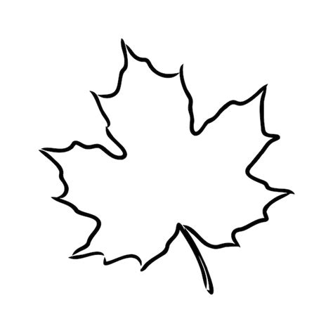 Premium Vector | Fall leaf clipart black and white leaf drawing vector clipart