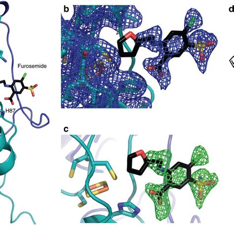 Microwave-assisted synthesis of furosemide analogs. Eleven compounds... | Download Scientific ...