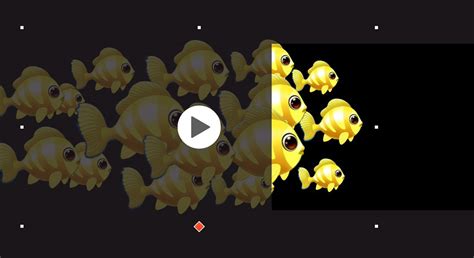 Fish Animation on Behance