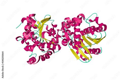 Conserved and divergent strigolactone signaling in Saccharum spontaneum. Ribbons diagram in ...