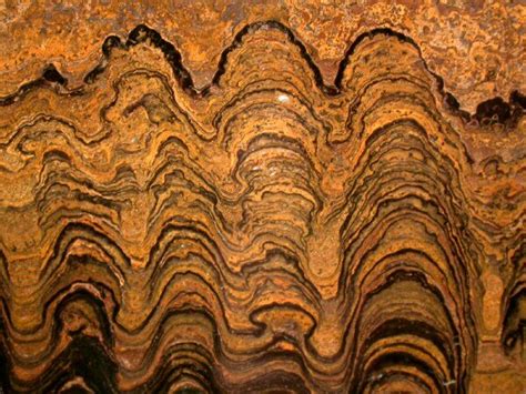 Proterozoic Stromatolites from Bolivia