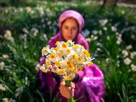 10 Flowers of the Quran