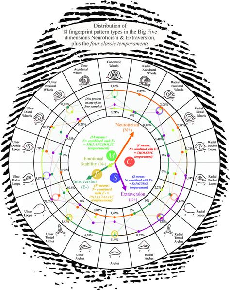 Radial loop fingerprints: what are the facts?