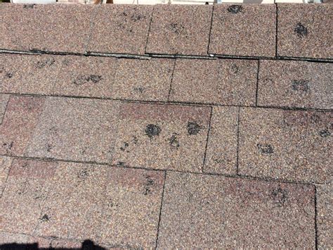 Expert Guide on Roof Hail Damage Protection and Repair | RoofGuides