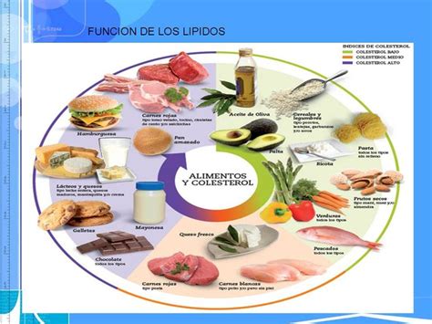 Pin de LucyCris en Biología | Lipidos, Funcion de los lipidos, Queso fresco