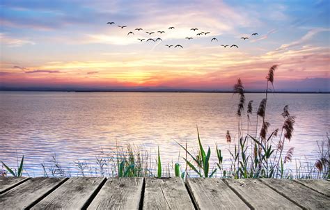 Wallpaper sunset, lake, seagulls, landscape, sunset, lake images for desktop, section пейзажи ...