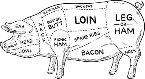 Pork Cuts 101: An Essential Guide to Different Cuts of Pork • Coleman Natural Foods