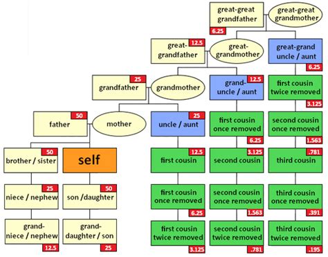 Autosomal DNA statistics - ISOGG Wiki