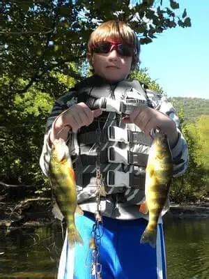 Perch Fishing Tips