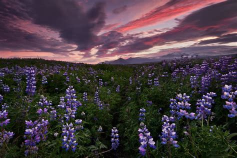 The Ultimate Guide to Iceland in Spring