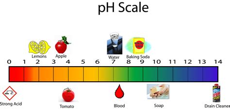 Acids And Bases