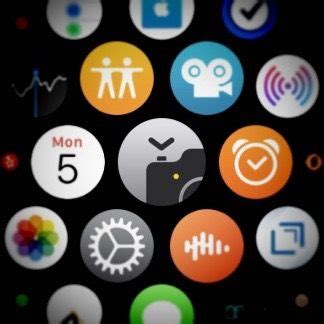 Liberate your iPhone camera with the Apple Watch Camera app. - wolfe with an e's blog