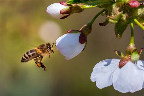 Revolutionising Nature-Friendly Farming - Food + Beverage Technology