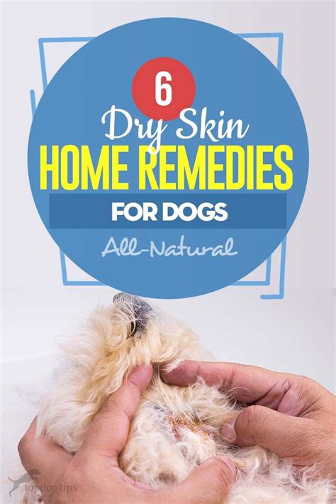 6 Dog Dry Skin Home Remedies in 2020 | Dog dry skin, Dry skin home remedies, Dog flaky skin