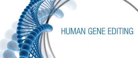 Human Gene Editing Open Committee Meeting - National Academy of Medicine | National Academy of ...