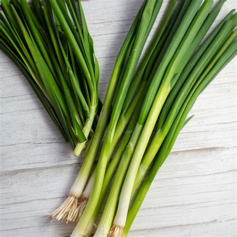 Green Onions vs Chives, What's the Difference Between The Tasty Greens