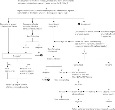 Unexplained Lymphadenopathy: Evaluation and Differential Diagnosis | AAFP