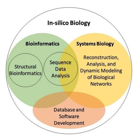 In-silico biology and its sub-branches. | Download Scientific Diagram