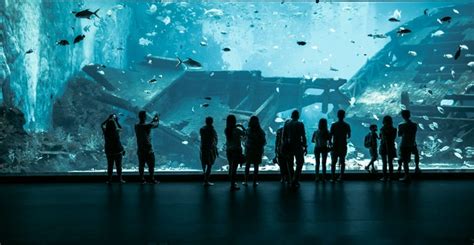 S.E.A Aquarium Singapore Tickets | Best Price Online