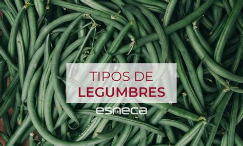 Tipos de Legumbres y sus Propiedades Nutricionales - Esneca