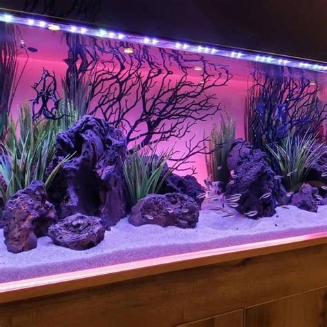 Original Fish Tank Decorations, 35 Creative Aquarium Decorating Ideas | Fish tank themes, Cool ...