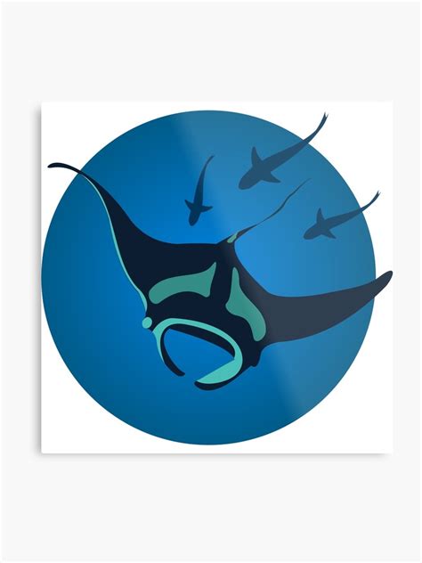 Manta Ray Vector at Vectorified.com | Collection of Manta Ray Vector free for personal use