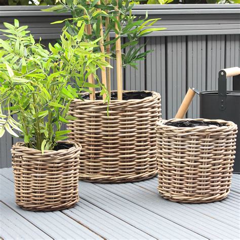 natural rattan planters set of three by marquis & dawe ...