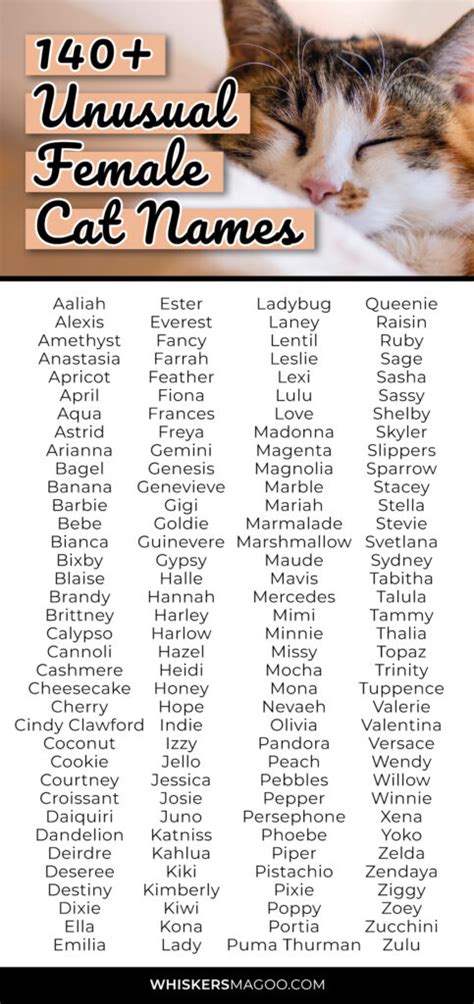 140+ Unusual Female Cat Names for Unique Kitties - Whiskers Magoo