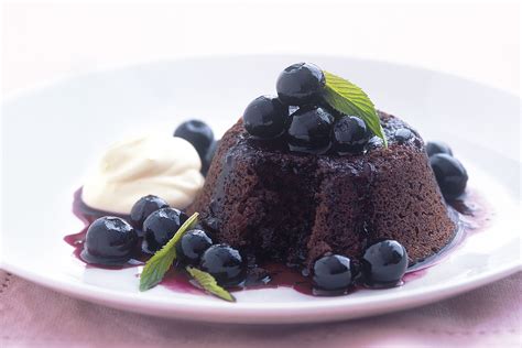 chocolate blueberry dessert