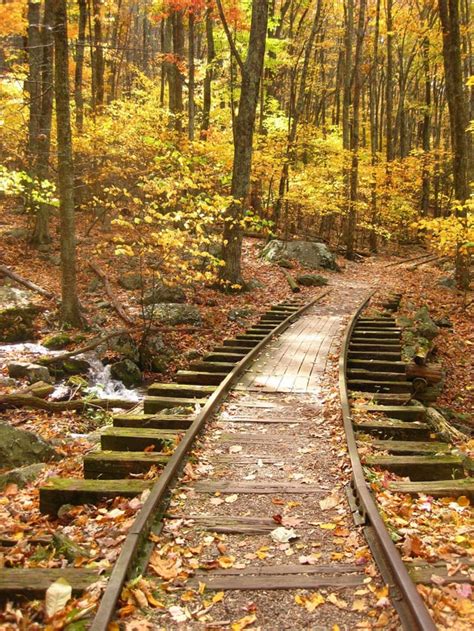 Abandoned train tracks through the forest of the Great Smoky Mountains ...