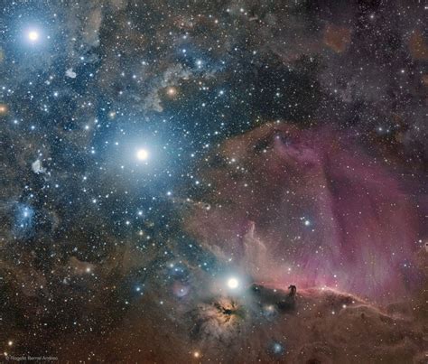 Pin by JeffBrock58 on Amazing NASA | Orion's belt, Nebula, Orion