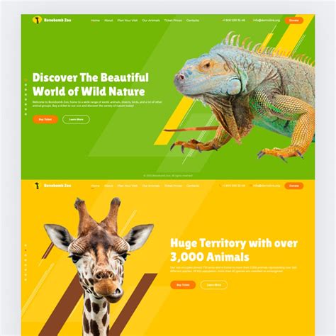 15 Best Animated Website Templates - TemplateMag