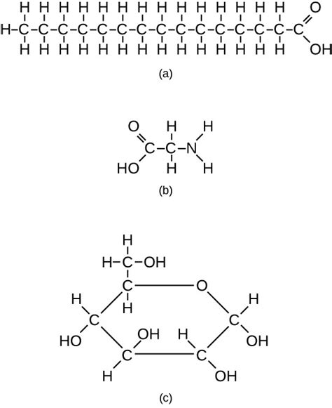 Biological Molecules | OpenStax: Concepts of Biology