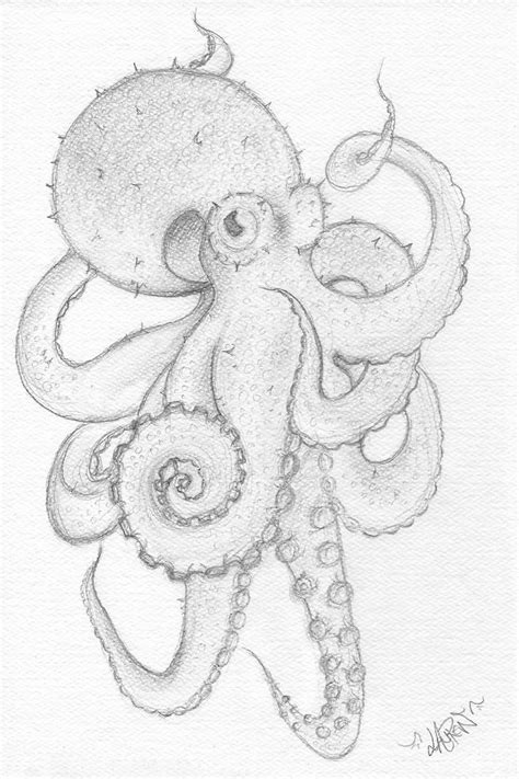 Ocellated Octopus (Octopus Rex) by LaurenRingelman on DeviantArt