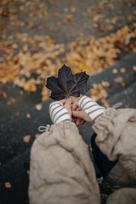 Hands Holding Black Leaf in Autumn · Free Stock Photo