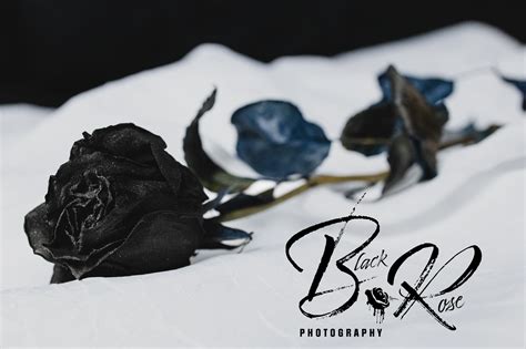 Black Rose Photography – Boudoir, Family, and Event Photography Services