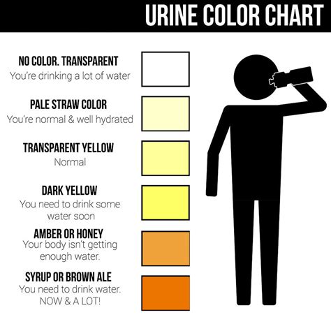 Urine Color - Chart, What Color Is Normal, What Does It Mean