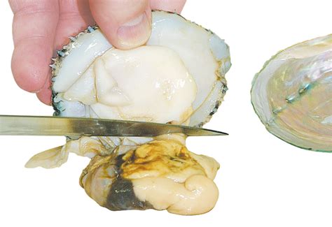 How to prepare abalone | Pure Australian Abalone