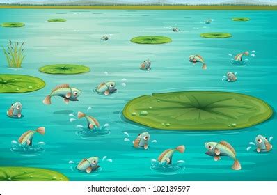 Illustration Fish Jumping Pond Eps Vector Stock Illustration 102139597 | Shutterstock