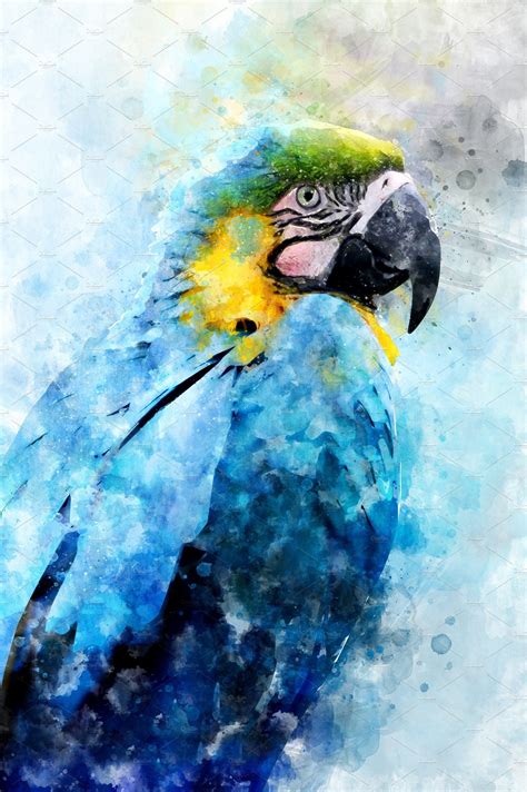 Parrot - watercolor illustration por | Parrots art, Macaw art, Watercolor illustration