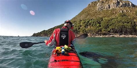 Wild Orca Always Swims Right Up To The Kayaking Friend He's Known For ...