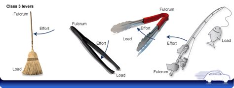 Third class levers examples | Science online