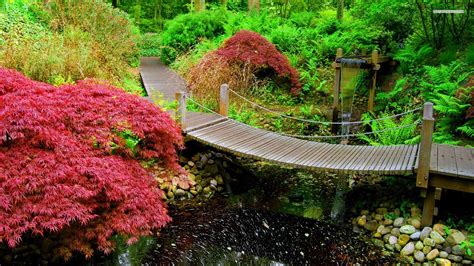 Japanese Tea Garden Wallpapers - Top Free Japanese Tea Garden ...