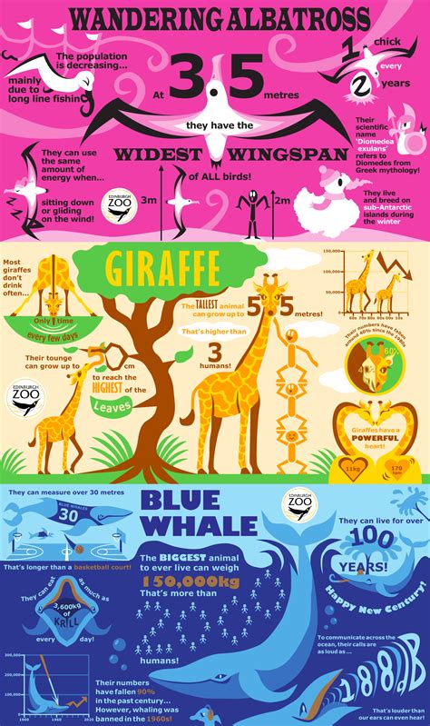 Animal Infographics by Euanverse on Newgrounds