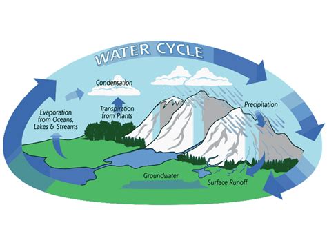 What is the Hydrologic Cycle? 3 Steps of the Water Cycle - Earth How