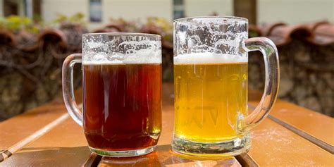 Ale vs. Lager: The Differences Between Both Types of Beer