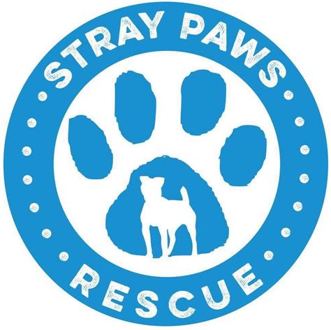 Welcome [straypawsrescue.com]